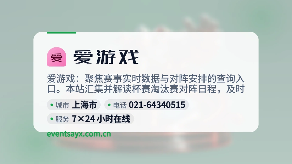 爱游戏概况